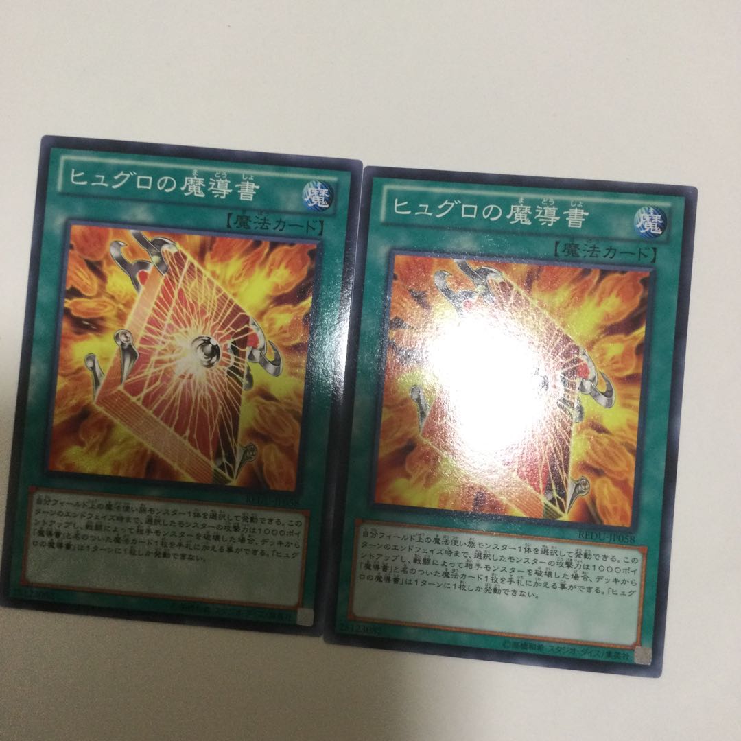 ヒュグロの魔導書　２枚