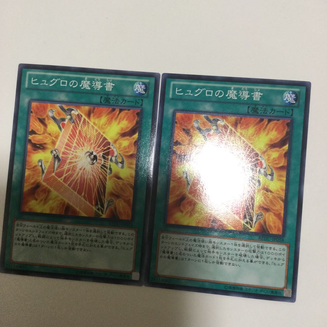 ヒュグロの魔導書 2枚