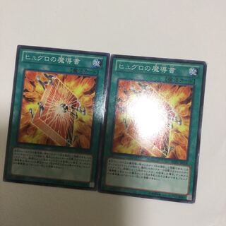 ヒュグロの魔導書　２枚