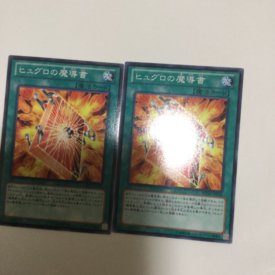 ヒュグロの魔導書　２枚