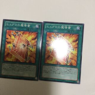 ヒュグロの魔導書　２枚