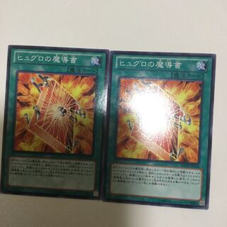 ヒュグロの魔導書　２枚