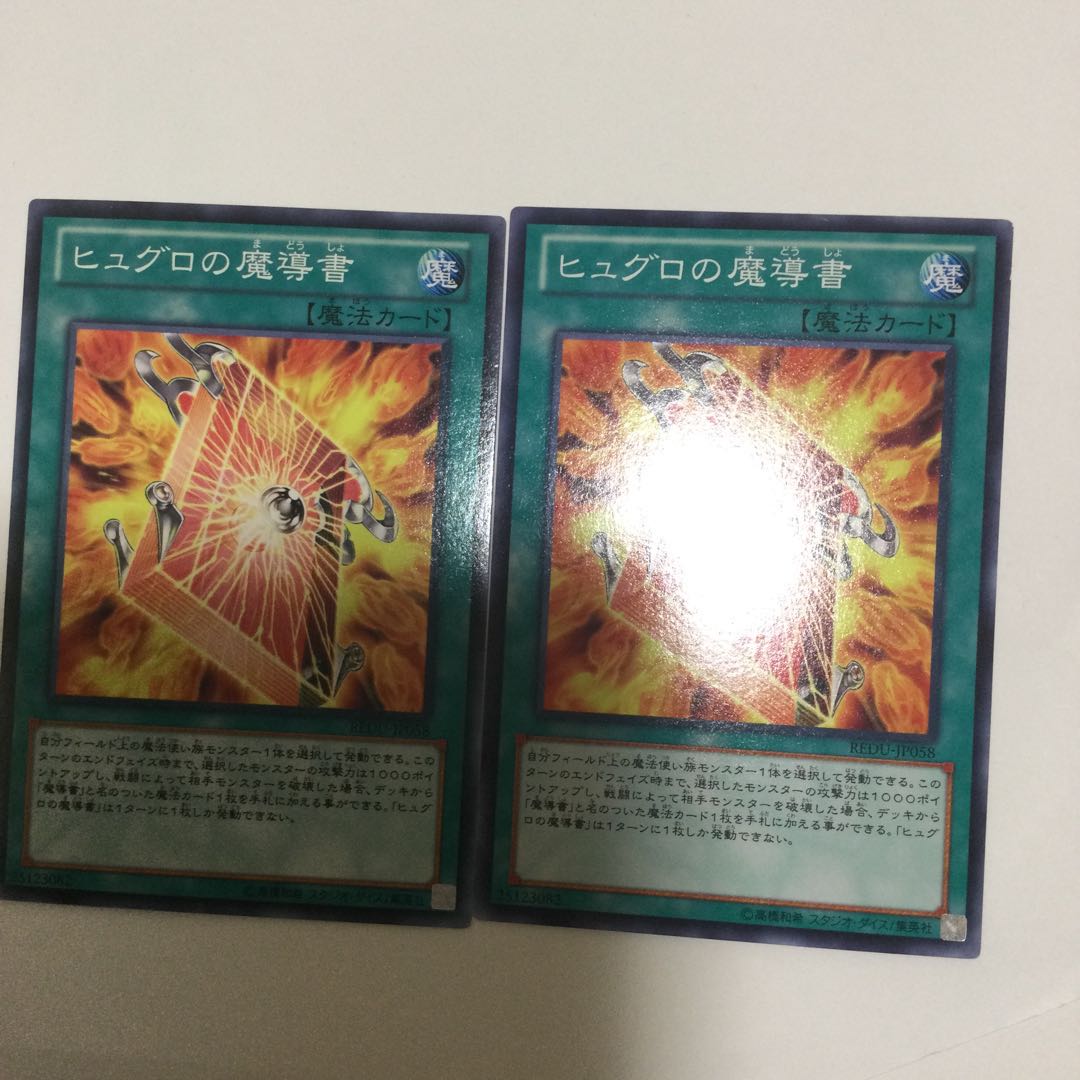 ヒュグロの魔導書　２枚