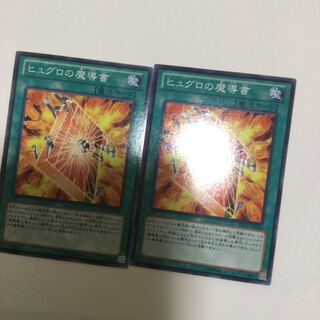 ヒュグロの魔導書　２枚
