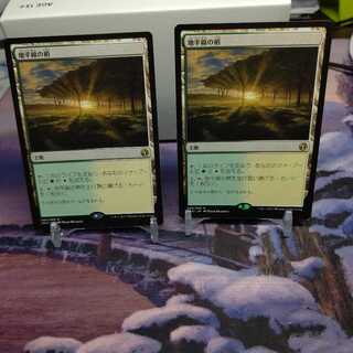 地平線の梢　2枚セット