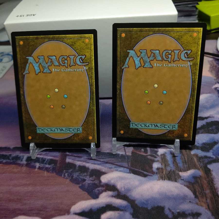 地平線の梢　2枚セット