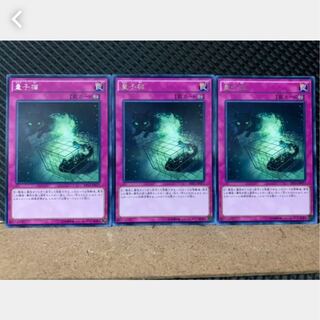 【ぽぽたん】遊戯王 2601 量子猫 3枚 レア