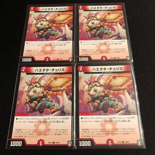 ハエタタ・チュリス