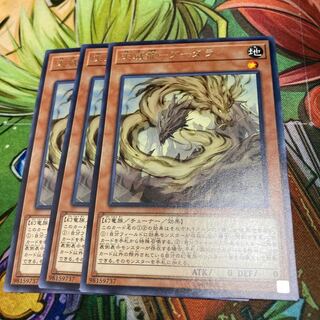 遊戯王　天威龍-アーダラ レア　3枚セット特価品
