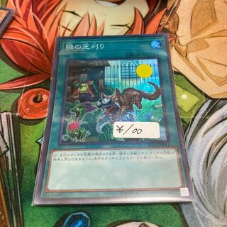 遊戯王　隣の芝刈り スーパーレア　1枚特価品