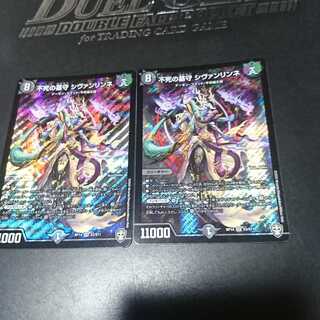 不死の墓守 シヴァンリンネ