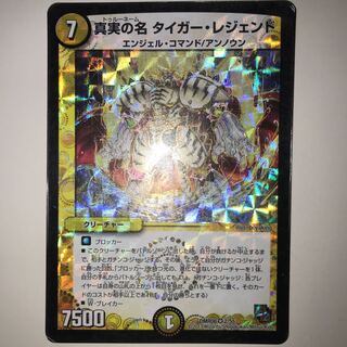 真実の名 タイガー・レジェンド DMR08 VR 2/55