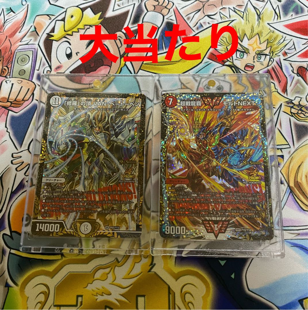 ジョーカーズ嫌いYUYU様専用 1枚