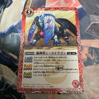 Shield Dragon