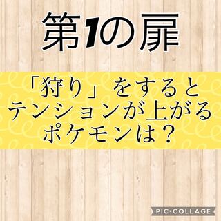 Opening the door to riches (Oripa, Fukubukuro) (Oripa Fukubukuro)