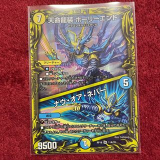 天命龍装 ホーリーエンド｜ナウ・オア・ネバー(20thSPレア仕様)