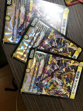 煌星龍 サッヴァーク