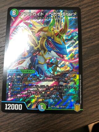 アアルカイト <ペガサ.Star>