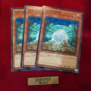 伝説の白石 ノーマル