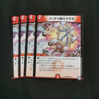 【即日発送】メッチャ映えタタキ 4枚