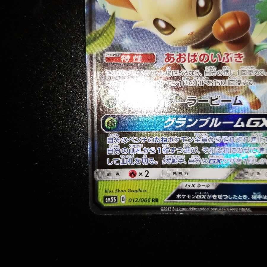 リーフィアGX RR