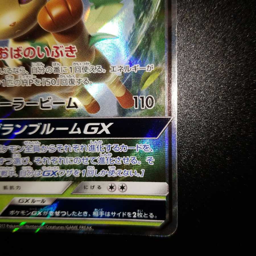 リーフィアGX RR