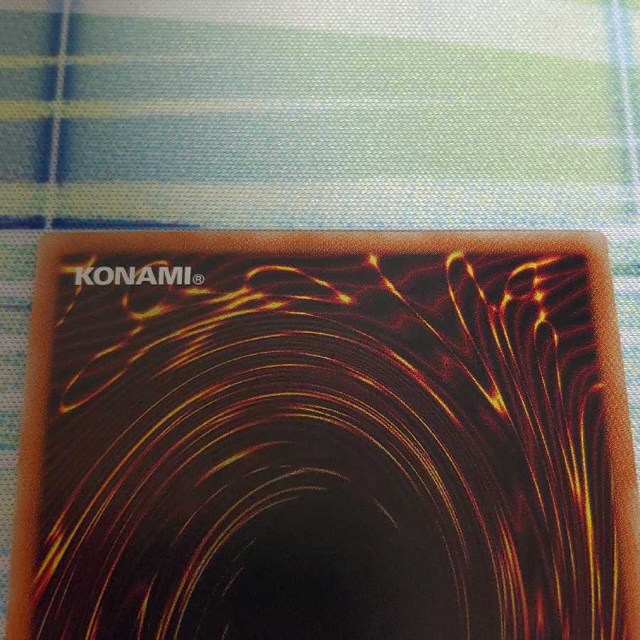 捕食植物ヴェルテ・アナコンダ ウルトラレア