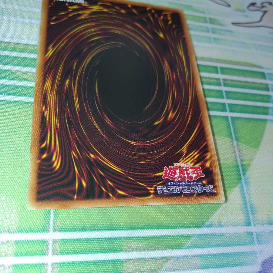 捕食植物ヴェルテ・アナコンダ ウルトラレア