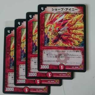 ショーブ・アイニー