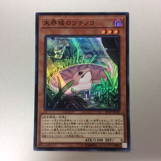 （微キズ）未界域のツチノコ　スーパーレア