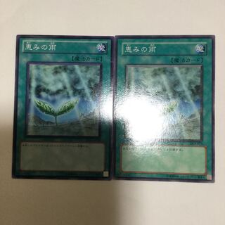 恵みの雨　２枚