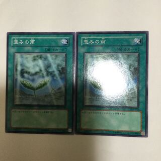 恵みの雨　２枚