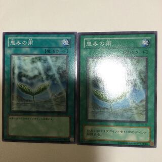 恵みの雨　２枚