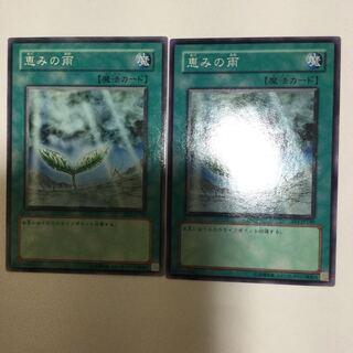 恵みの雨　２枚