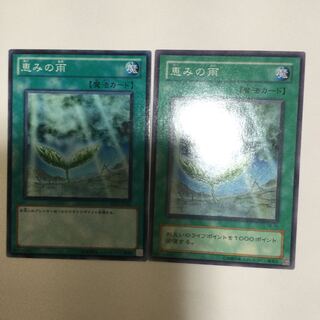 恵みの雨　２枚