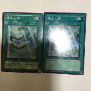 恵みの雨　２枚