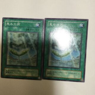 恵みの雨　２枚