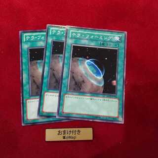 テラ・フォーミング ノーマル