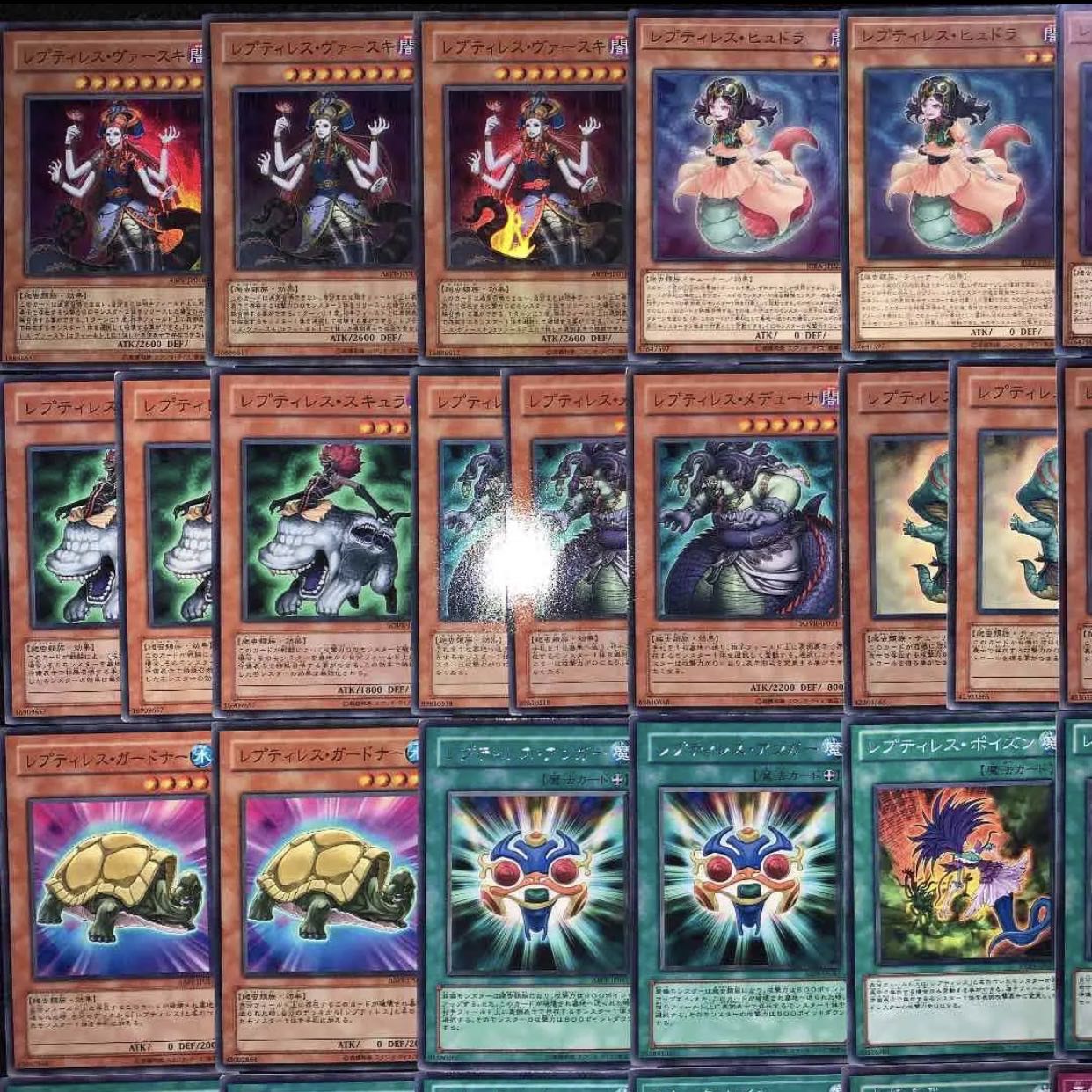 ガチ構築！！レプティレスデッキ40枚+EX15枚