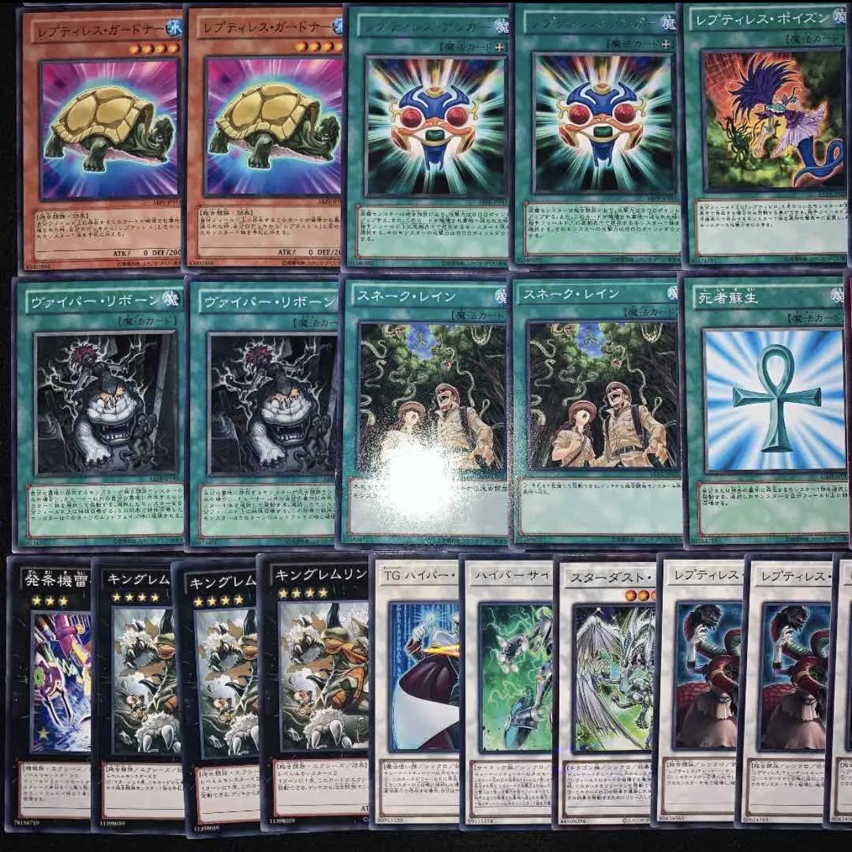 ガチ構築！！レプティレスデッキ40枚+EX15枚