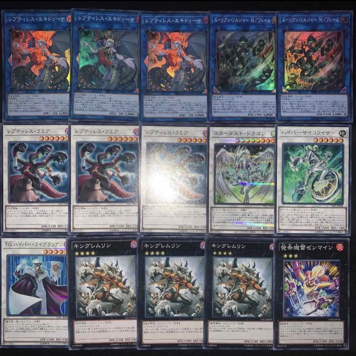 ガチ構築！！レプティレスデッキ40枚+EX15枚