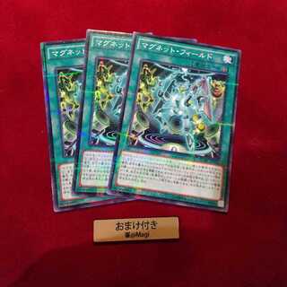 マグネット・フィールド パラレル ノーマル