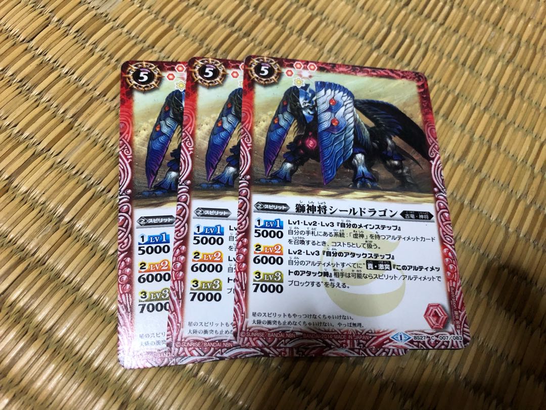 Lion General Shield Ragon 3 pieces