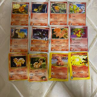 Fire Pokemon Various items can be sold in pieces.