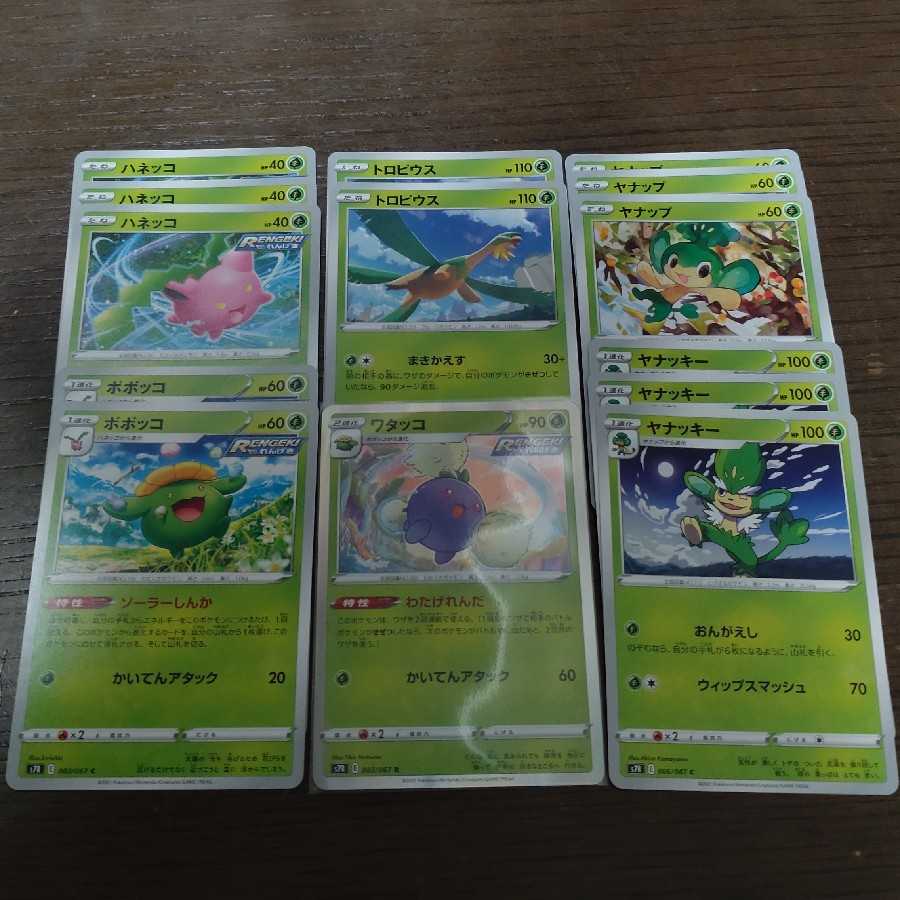 蒼空ストリーム 草
ワタッコ
トロピウス