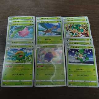 蒼空ストリーム　草　
ワタッコ

トロピウス