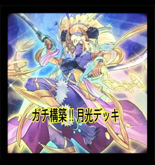 遊戯王　ガチ構築！！月光デッキ40枚＋EX15枚
