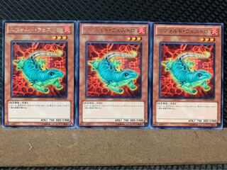 【ぽぽたん】遊戯王 225 エヴォルド・ウェストロ 3枚 レア