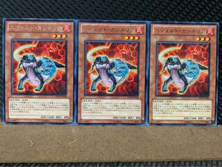 【ぽぽたん】遊戯王 6849 エヴォルド・カシネリア 3枚 レア