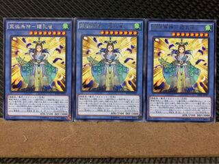 【ぽぽたん】遊戯王 5227 霊魂鳥神-姫孔雀 3枚 レア